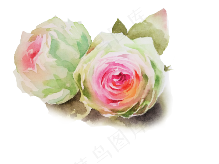 水彩玫瑰元素