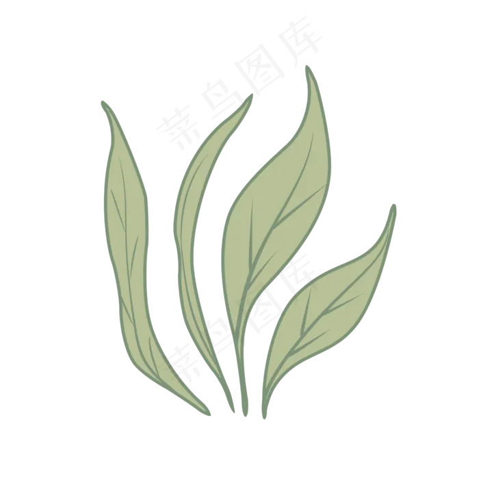长条植物绿色好看(2500X2500(DPI:600))psd模版下载