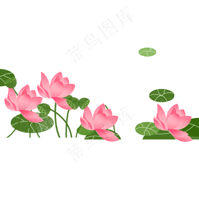 一些美丽的荷花和荷叶(2000X2000(DPI:300))psd模版下载