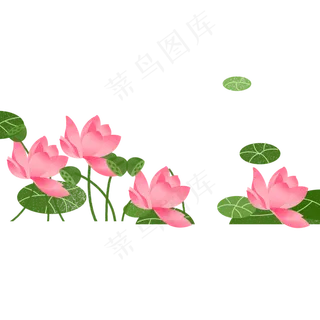 一些美丽的荷花和荷叶 一些美丽的荷花和荷叶