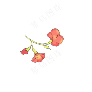 美丽的粉色鲜花下载