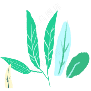 绿叶春季自然植物