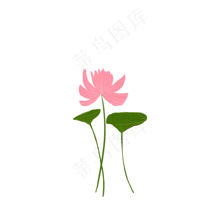 可爱手绘荷花荷叶小清新荷花扁平(2100X2100(DPI:300))psd模版下载