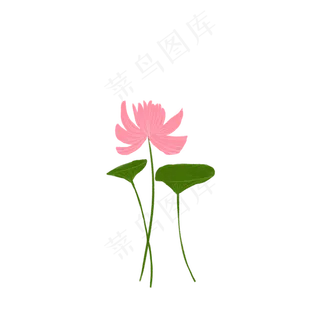 可爱手绘荷花荷叶小清新荷花扁平