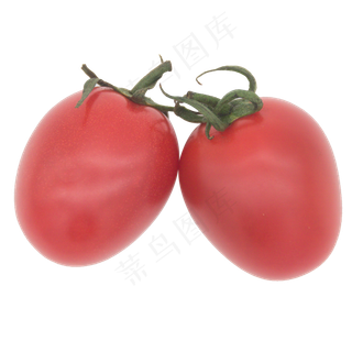 红色水果圣女果