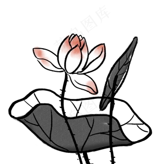 荷花花朵水墨植物