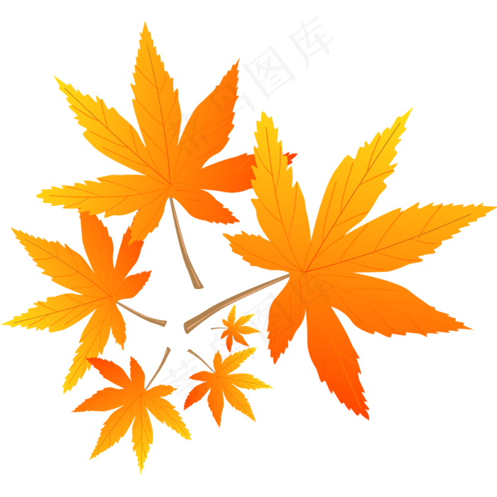 实物枫叶素材(2000X2000(DPI:299))psd模版下载