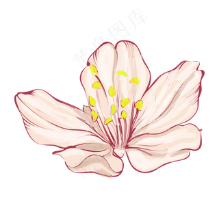 手绘卡通粉色花朵