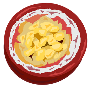 手绘水果百香果