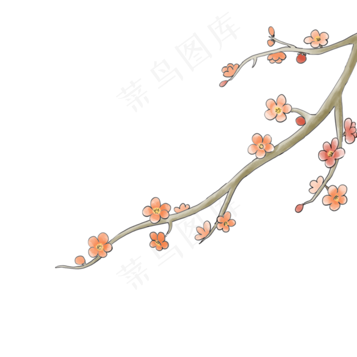 冬天腊月赏花花卉梅花腊梅