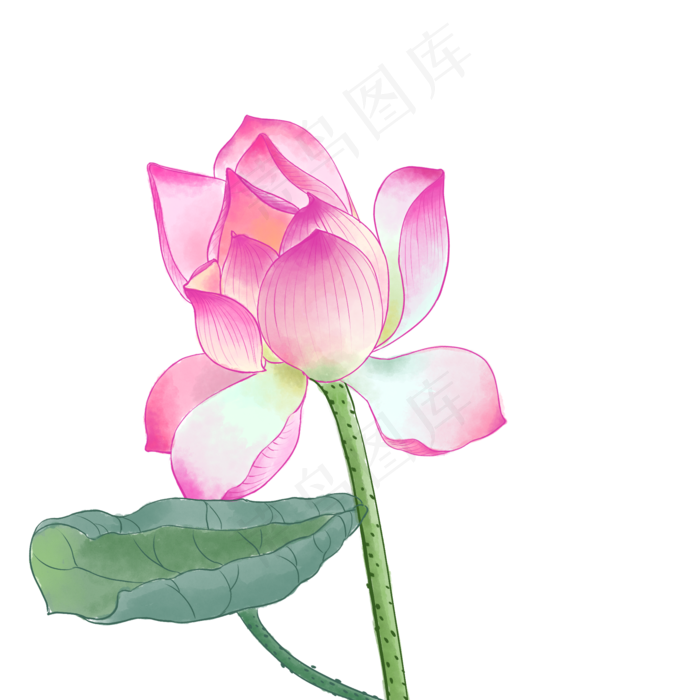 中国风荷花水彩画