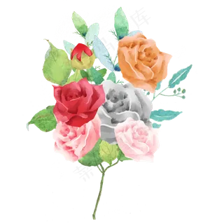 水彩玫瑰鲜花素材 水彩玫瑰鲜花素材