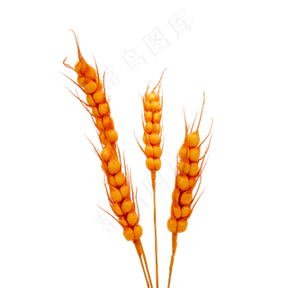 金稻穗大麦干花仿真物料装饰物品