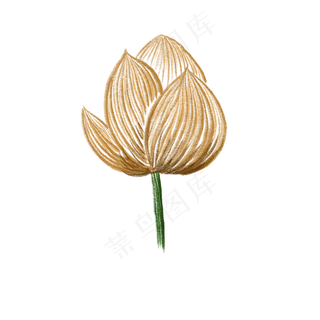 将开的荷花免抠创意插图 将开的荷花免抠创意插图