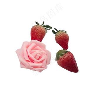 草莓花朵实拍免抠