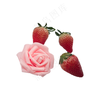 草莓花朵实拍免抠