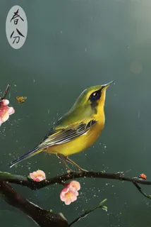 春分-雨后花香-桃花