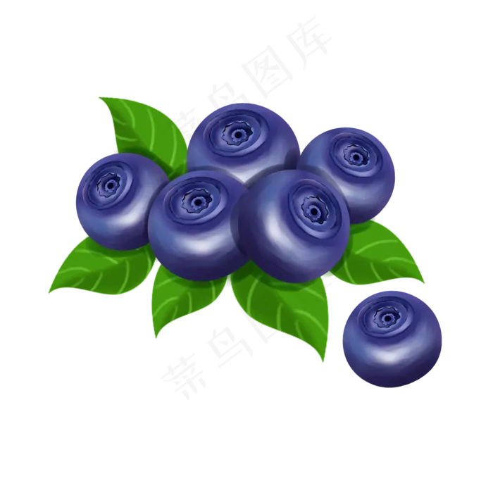 蓝色的蓝莓(2000X2000(DPI:300))psd模版下载