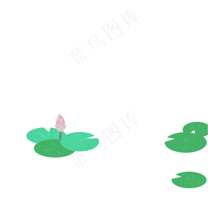 新鲜的荷叶和荷花免抠图