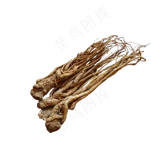 一些滋补的干人参,免抠元素
