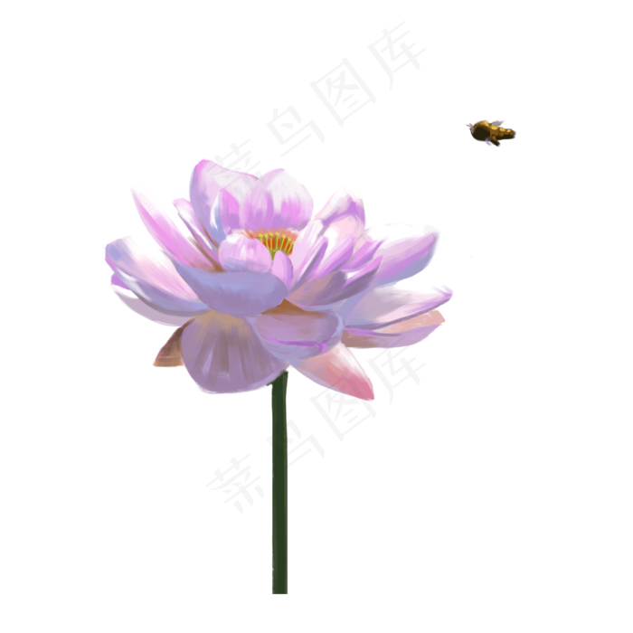 一朵手绘荷花(2000X2000(DPI:300))psd模版下载