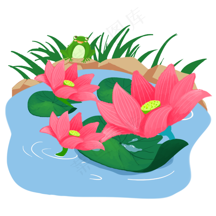 池塘中盛开荷花(3000X3000(DPI:300))psd模版下载