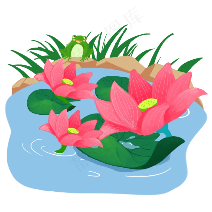 池塘中盛开荷花(3000X3000(DPI:300))psd模版下载