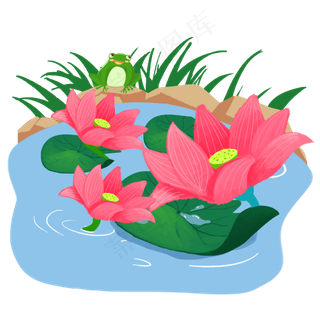 池塘中盛开荷花