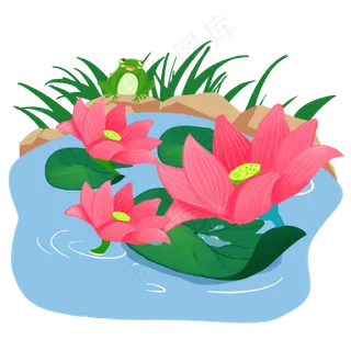 池塘中盛开荷花