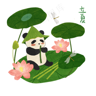 熊猫荷花莲花立夏节气PNG装饰
