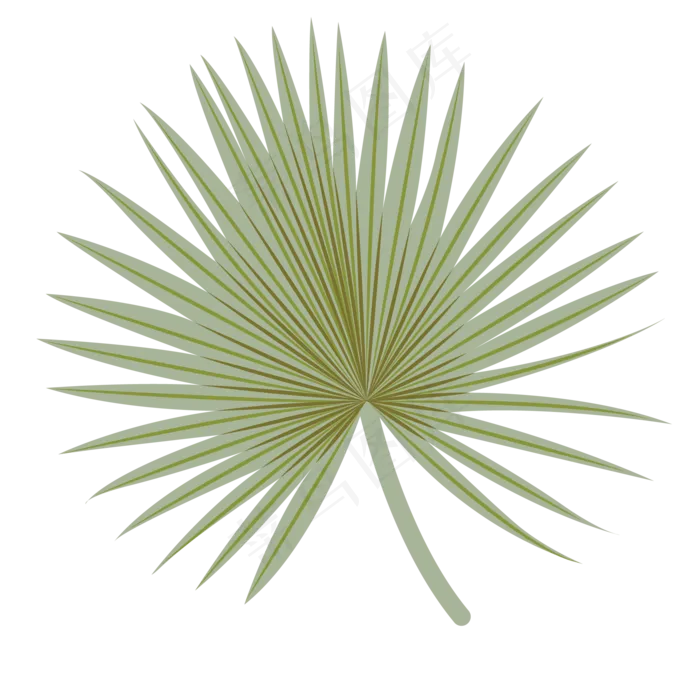 绿色的叶子免抠图(2063X2063(DPI:300))psd模版下载