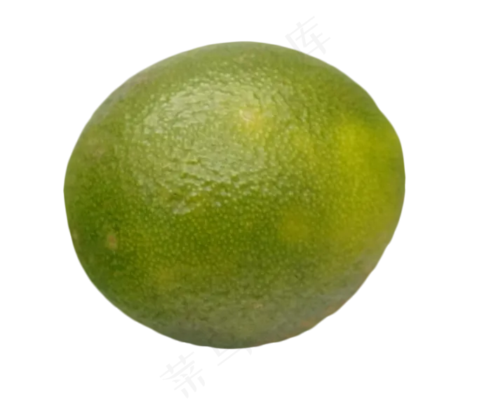绿色青柠水果(2000X2000(DPI:132))