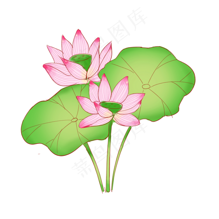 二十四节气之大暑荷叶荷花主题