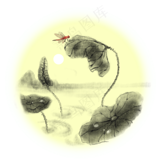 手绘花荷花中国风水墨风蜻蜓