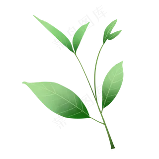 春天新生植物小清新枝叶,免抠元素