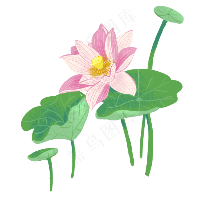 粉色荷花荷叶(2000X2000(DPI:300))psd模版下载