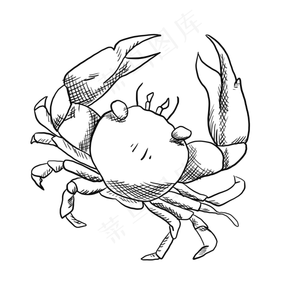 螃蟹手绘线稿素材,免抠元素