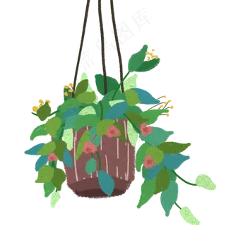 天竺葵吊起来的盆景