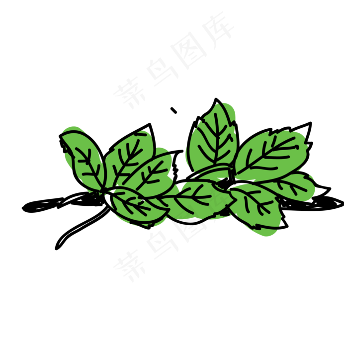 薄荷叶免抠速写PNG