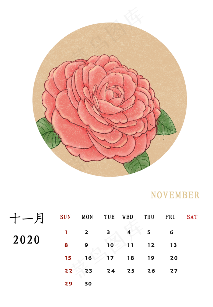 月历 2020 茶花,免抠元素(2480X3580(DPI:300))psd模版下载