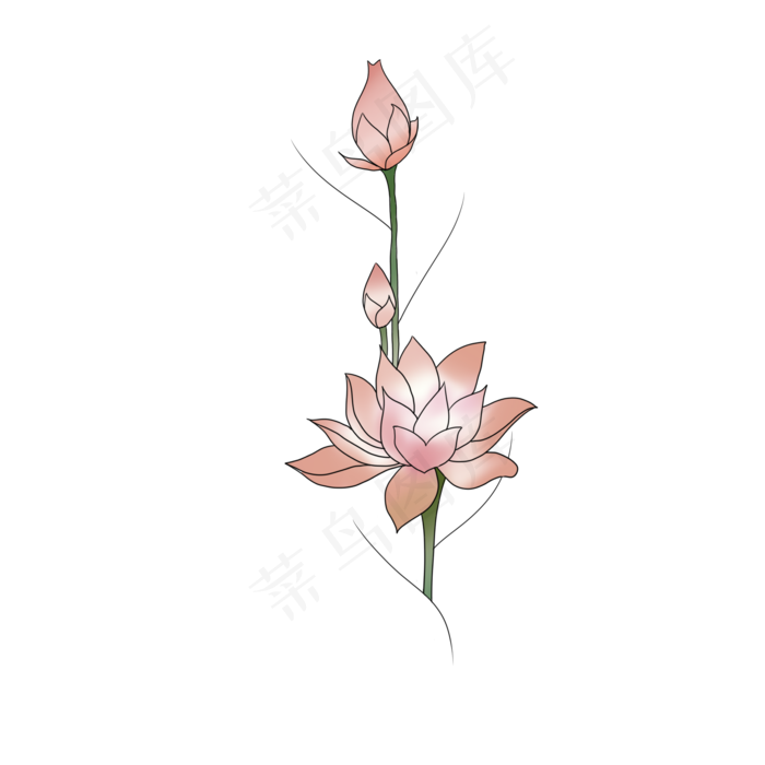 夏天植物荷花免抠(2000X2000(DPI:350))psd模版下载