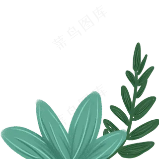 叶子春季自然植物