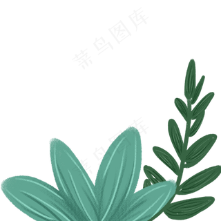 叶子春季自然植物