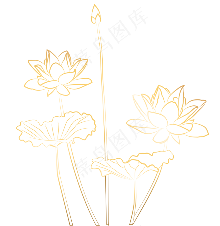 烫金线条感荷花(2909X3000(DPI:300))psd模版下载