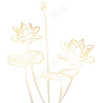 烫金线条感荷花