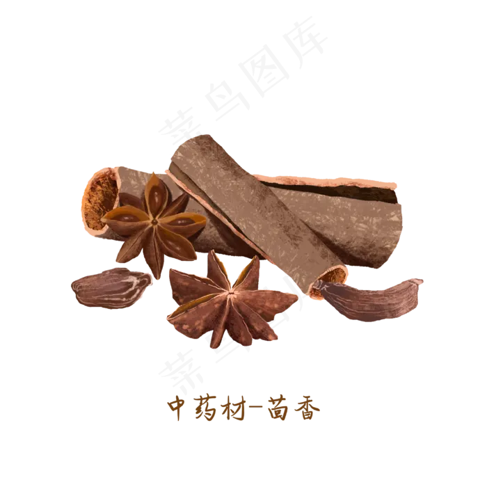 中医药材茴香,免抠元素(3000*3000px 300 dpi )psd模版下载