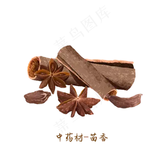 中医药材茴香,免抠元素