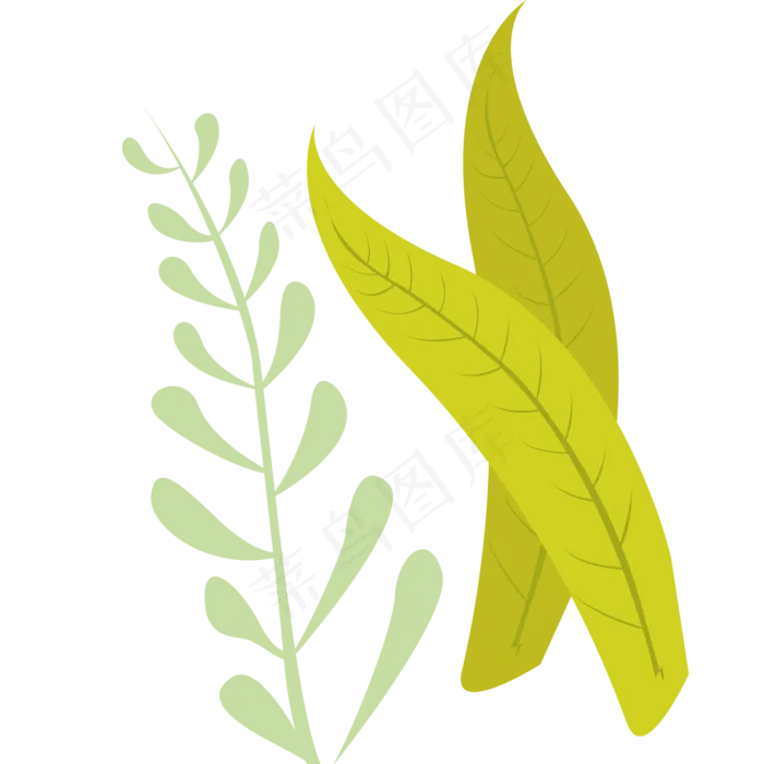 植物绿色春季植物(2000X2000(DPI:300))psd模版下载