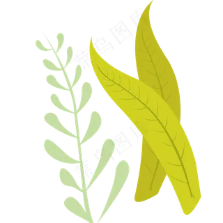 植物绿色春季植物 植物绿色春季植物