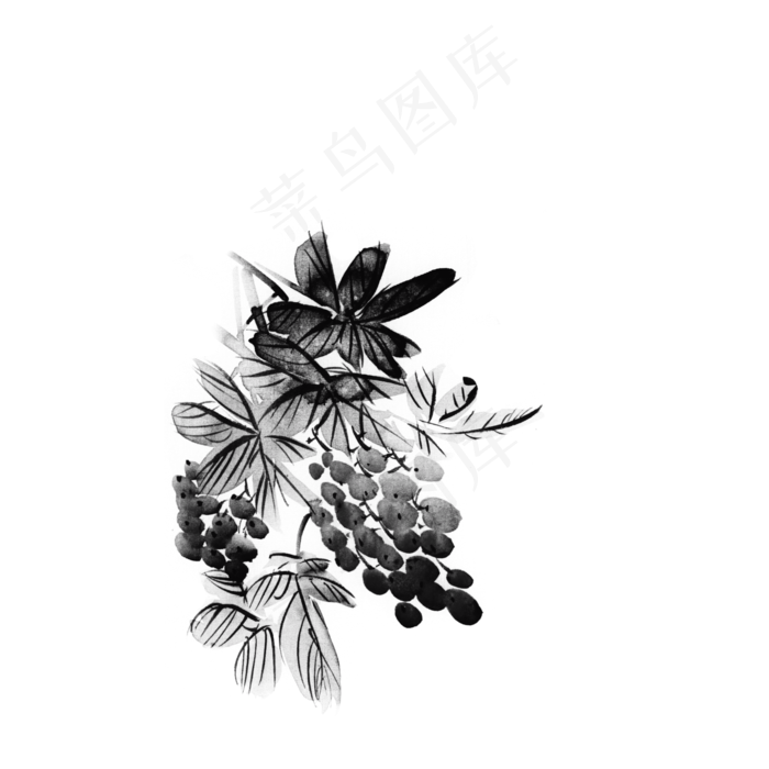 中国风水墨葡萄png